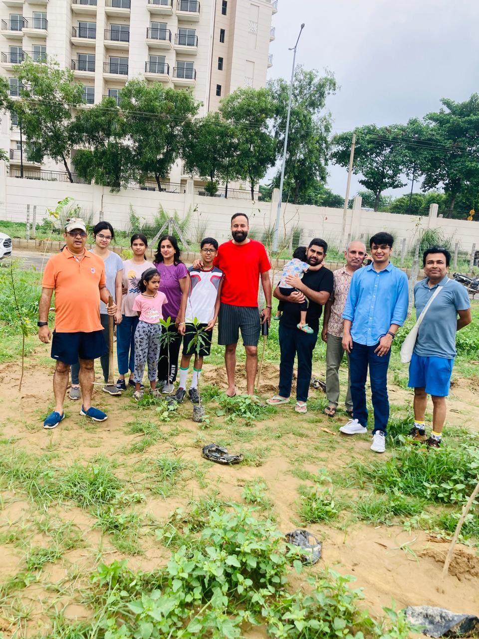 Tree Plantation Drive