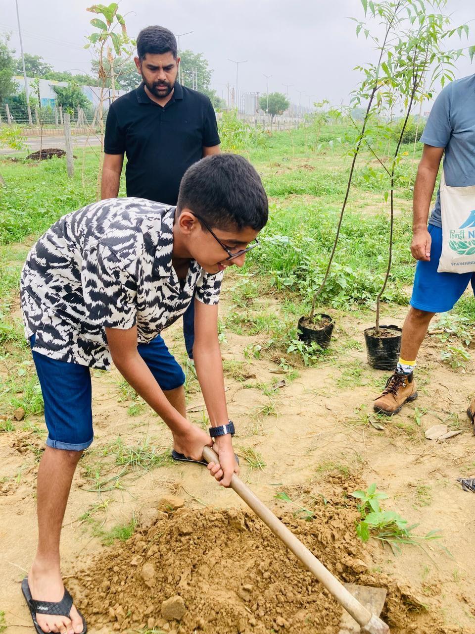 Tree Plantation Drive