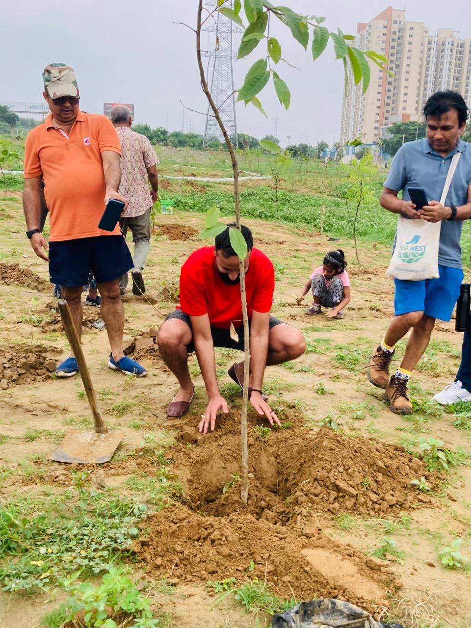 Tree Plantation Drive