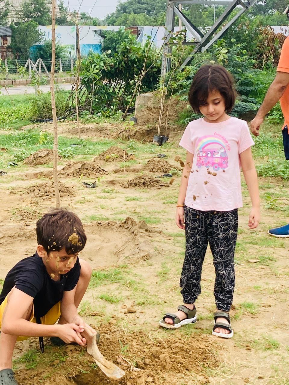 Tree Plantation Drive
