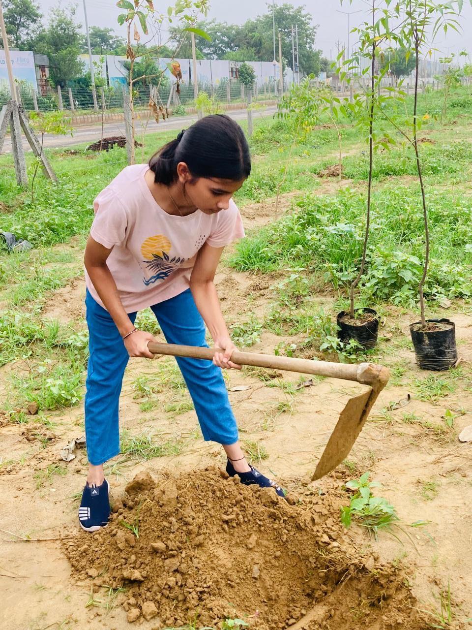 Tree Plantation Drive