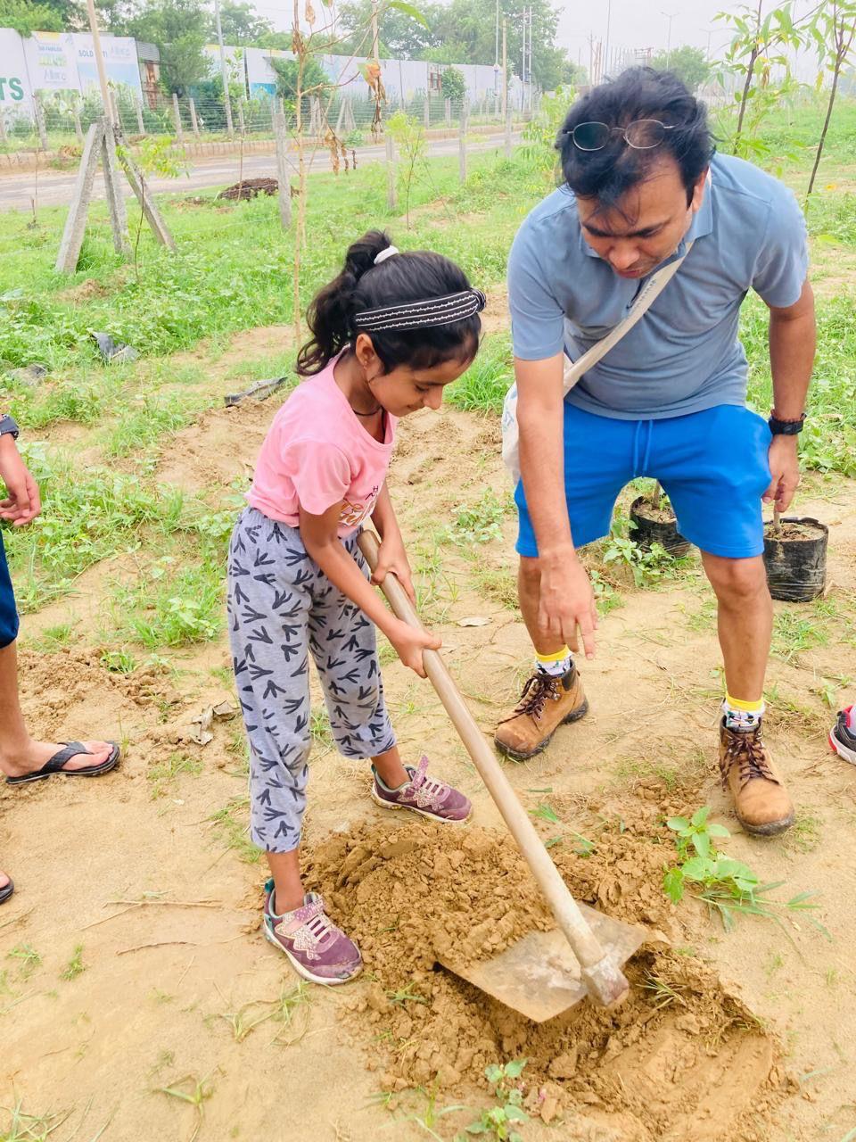Tree Plantation Drive