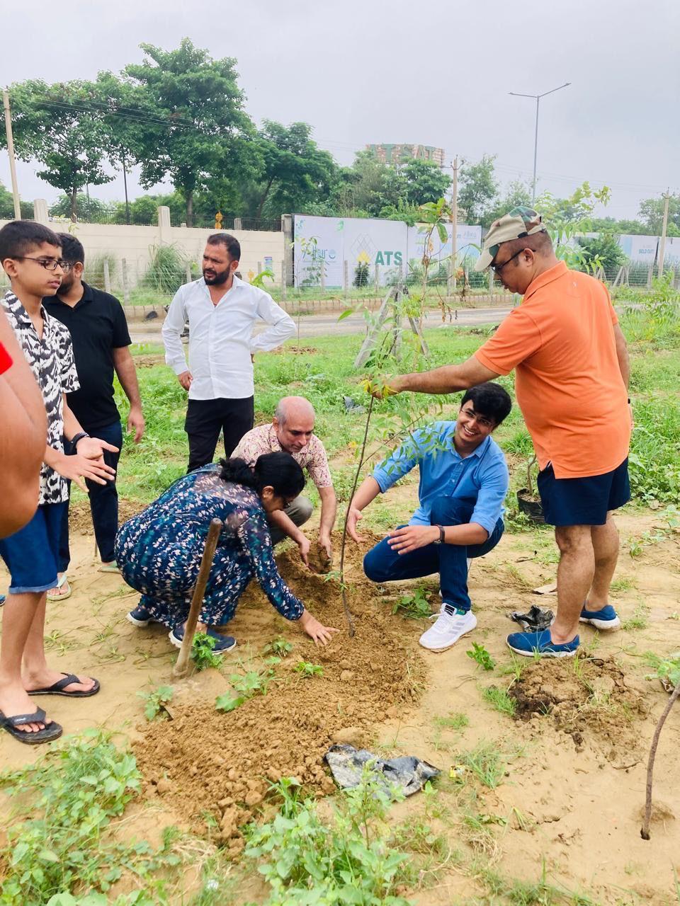 Tree Plantation Drive