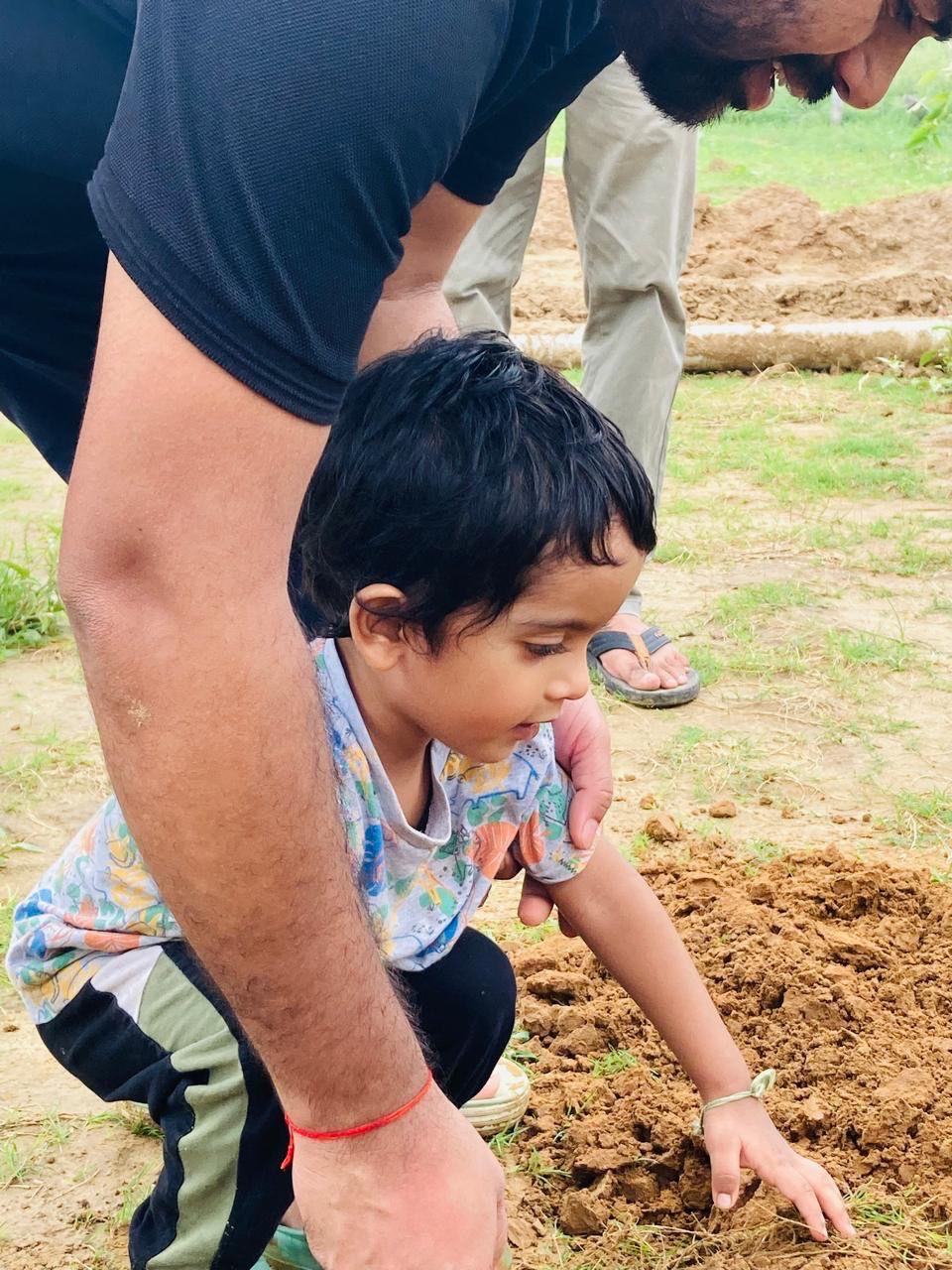 Tree Plantation Drive