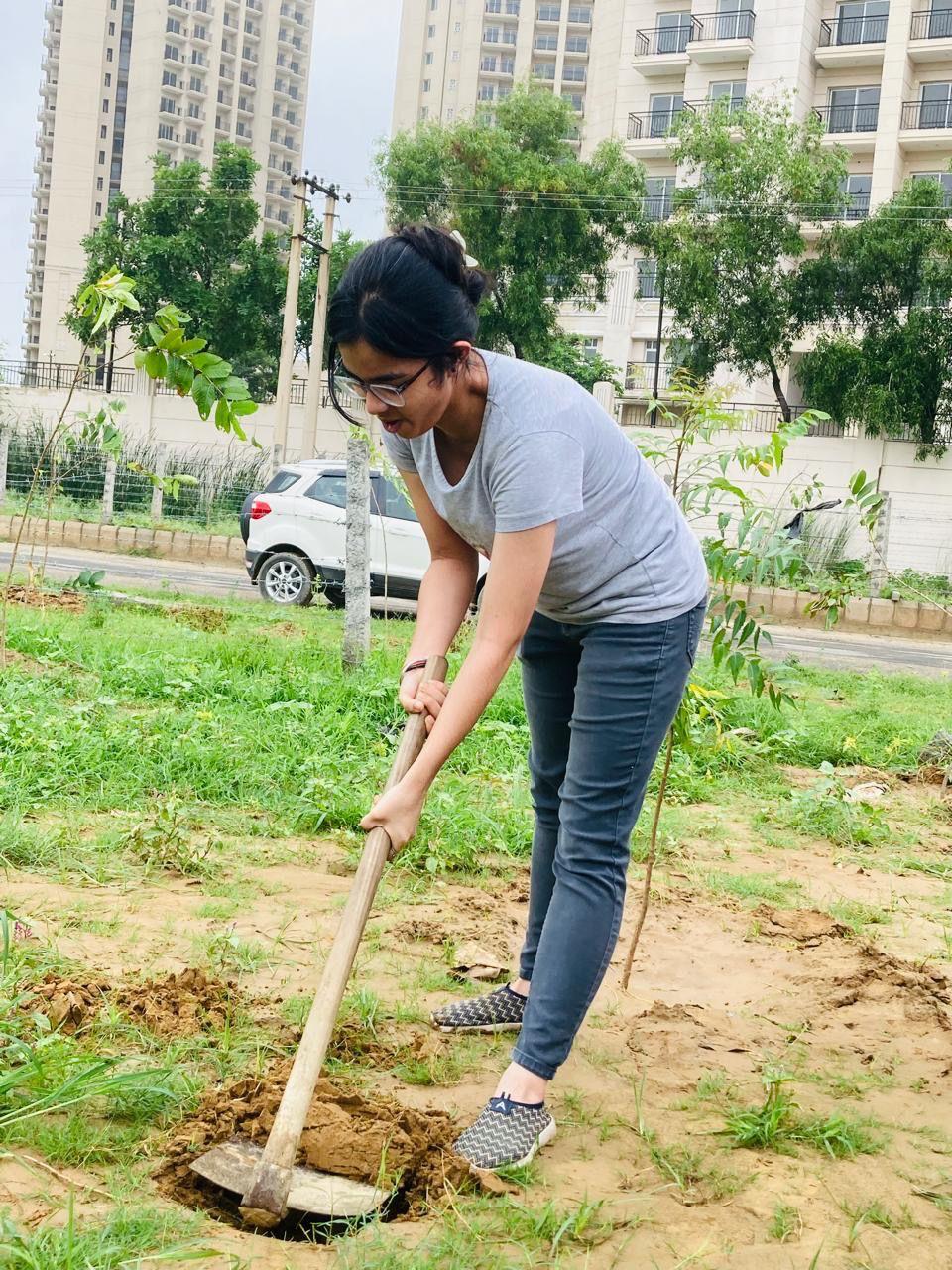 Tree Plantation Drive